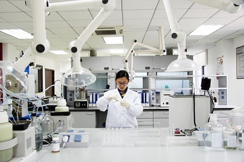 國家企業技術中心2021年評價結果揭曉 徐工高居行業榜首 彰顯創新硬實力