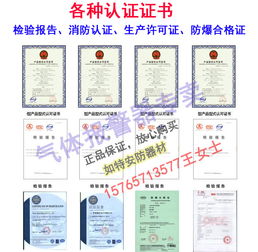 甲烷氣體濃度報(bào)警器與可燃?xì)怏w監(jiān)控系統(tǒng) 網(wǎng)絡(luò)技術(shù)服務(wù)賦能工業(yè)安全新高度